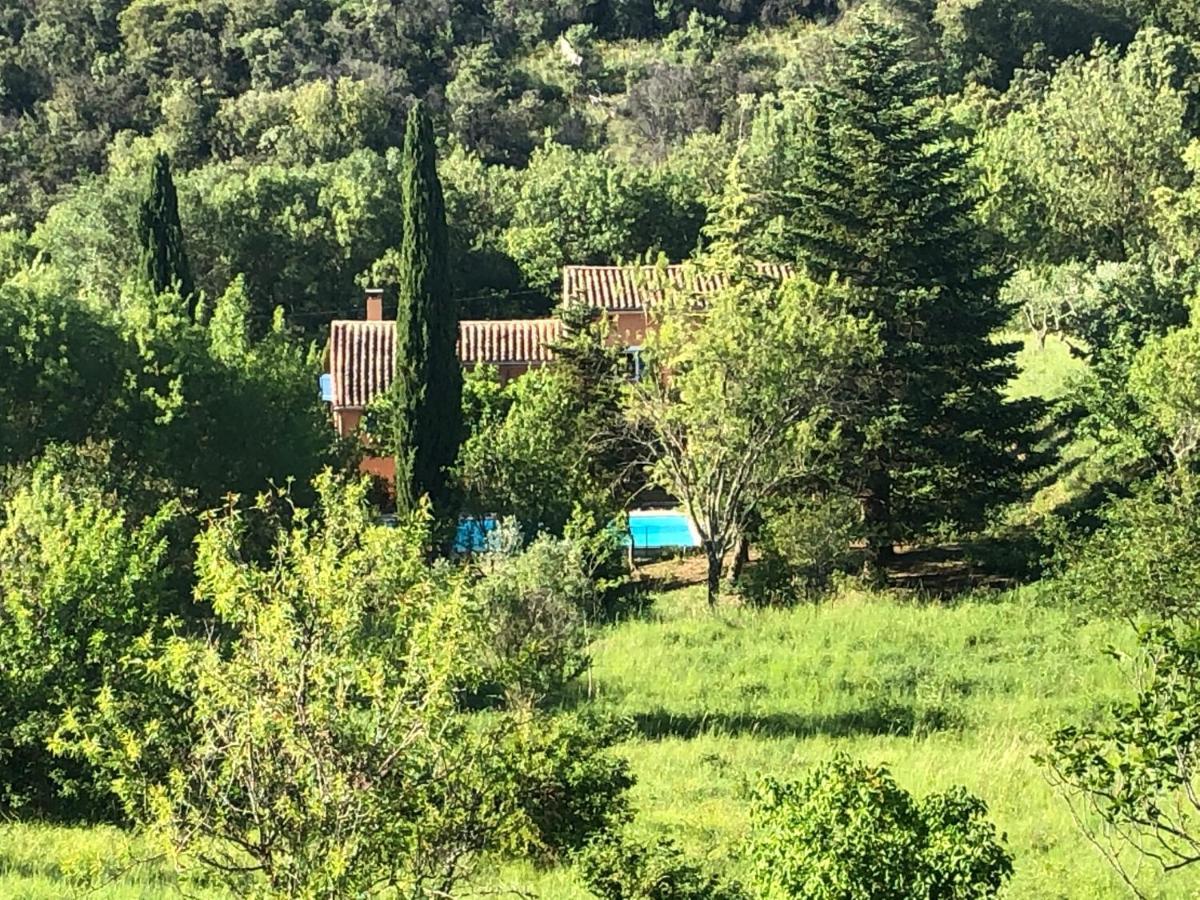 Villa Le Mas Cevenol Saint-Hilaire-de-Brethmas Exterior foto