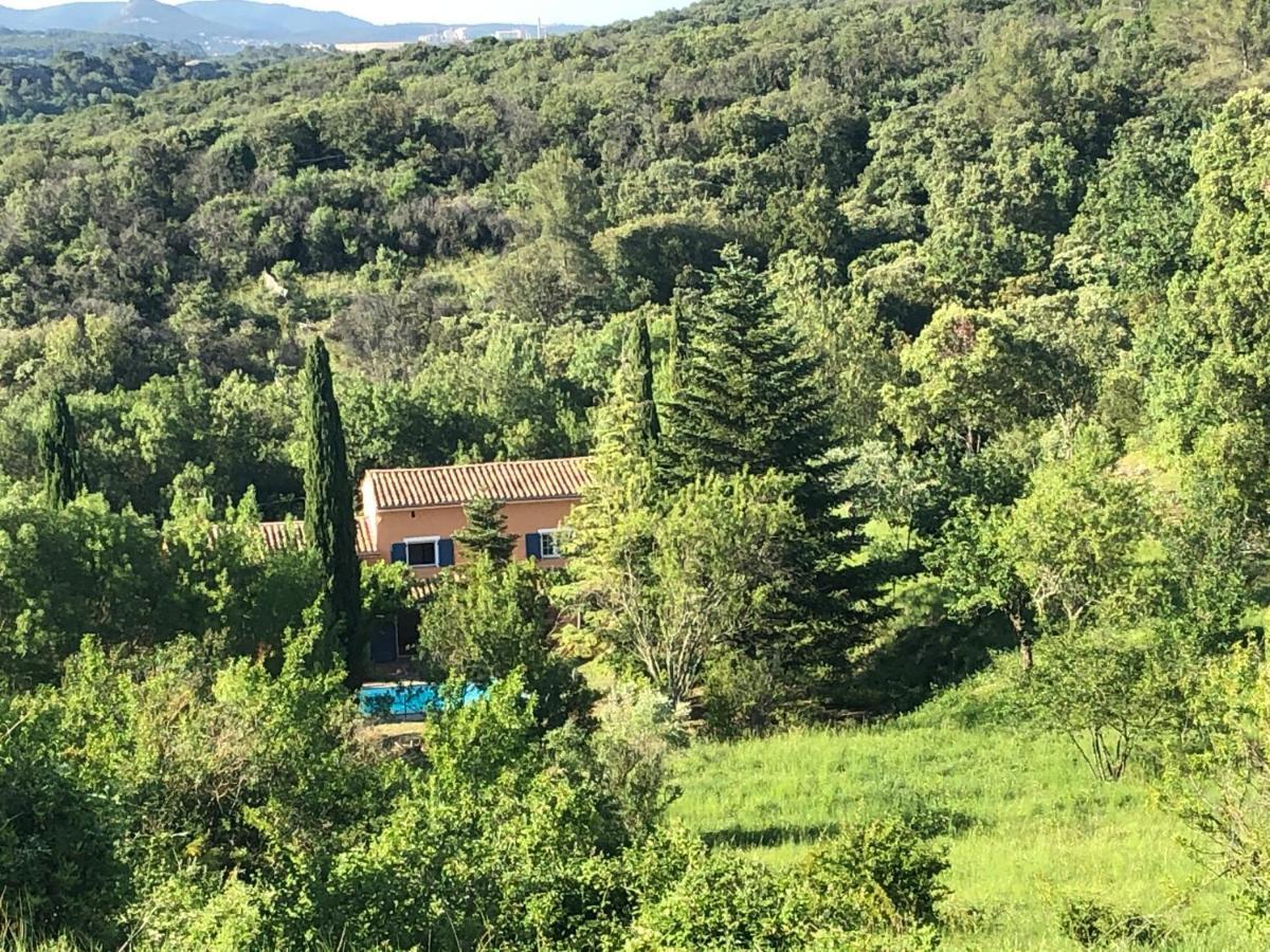 Villa Le Mas Cevenol Saint-Hilaire-de-Brethmas Exterior foto